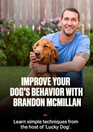 MasterClass—Expert animal trainer Brandon McMillan teaches you his simple, effective training system to build trust and control with your dog.